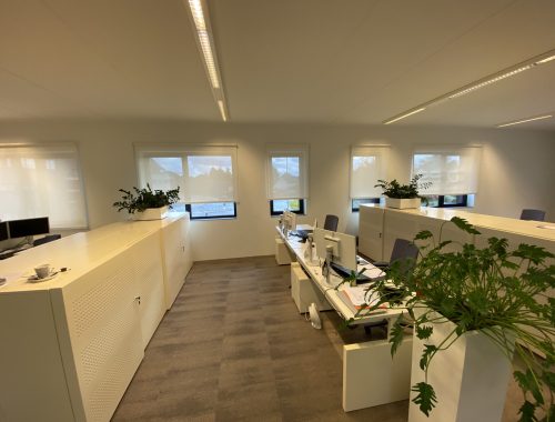 Een fris ontwerp van een open kantoorruimte met glazen wanden en planten