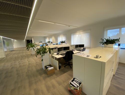 Een fris ontwerp van een open kantoorruimte met glazen wanden en planten