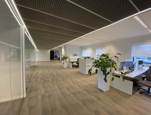 Een fris ontwerp van een kantoorruimte met planten